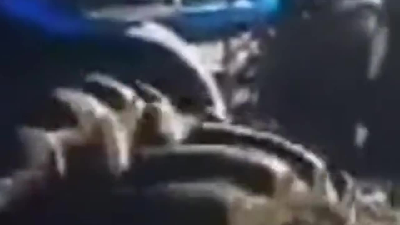 tractors stuck, machines accelerating (13)