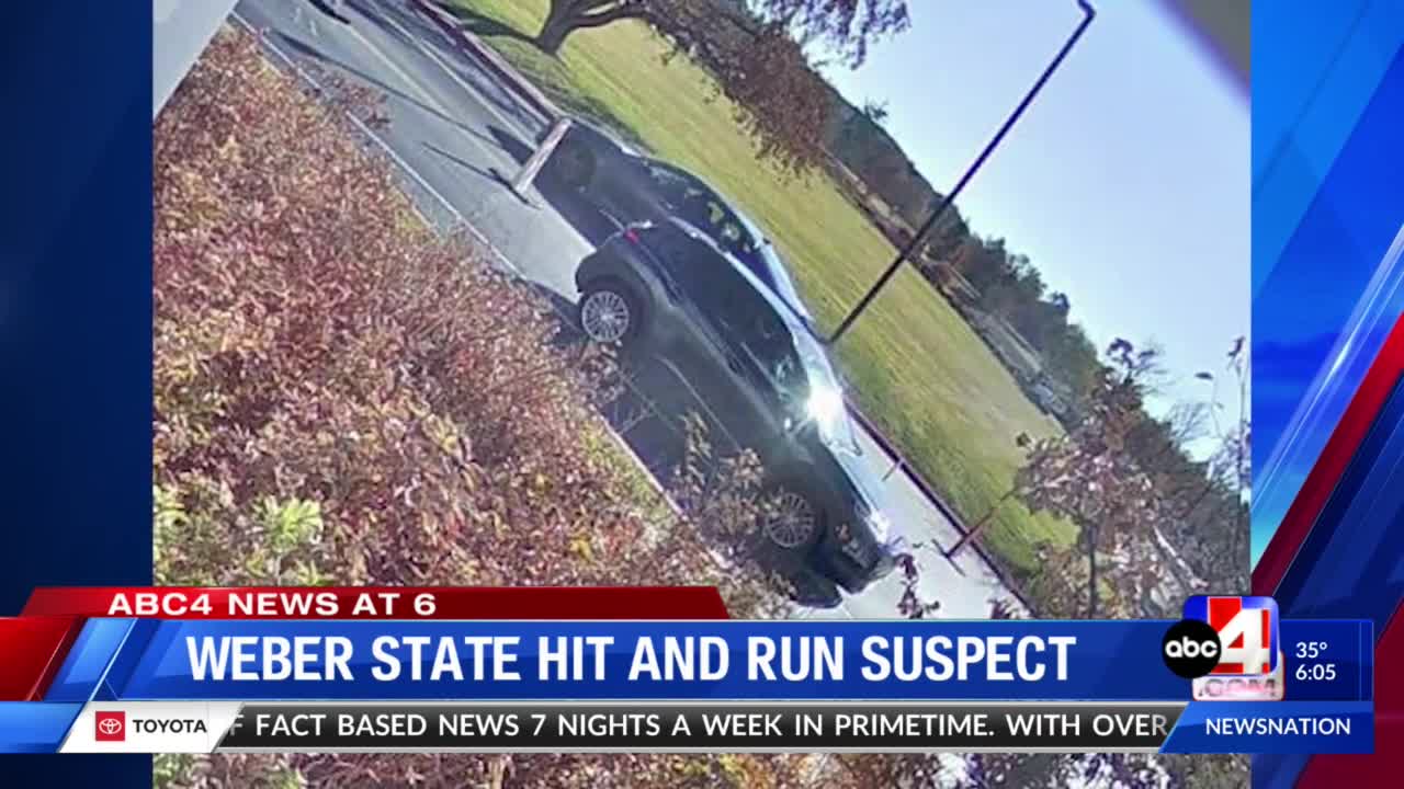 Weber State hit and run suspect