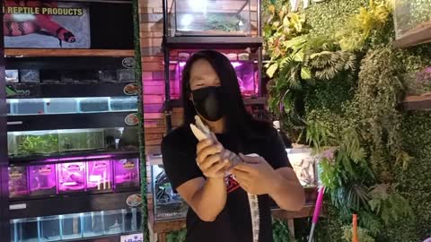 Petxotic Lover 💓