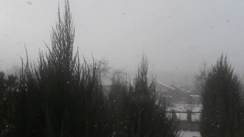 Snow storm Friday the 13th