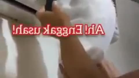 Funny Cat videos - 2023 Most viral funny videos