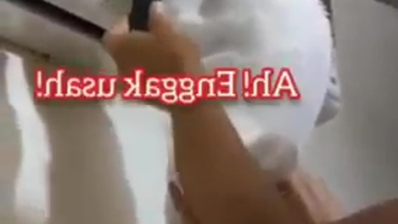 Funny Cat videos - 2023 Most viral funny videos