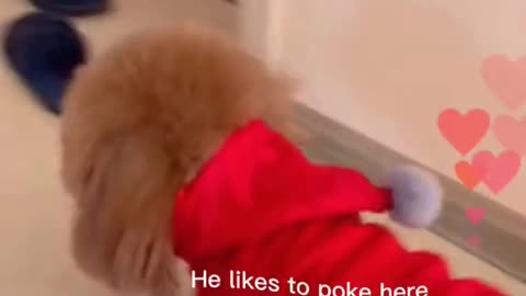 Like a child heard the request to visit the door