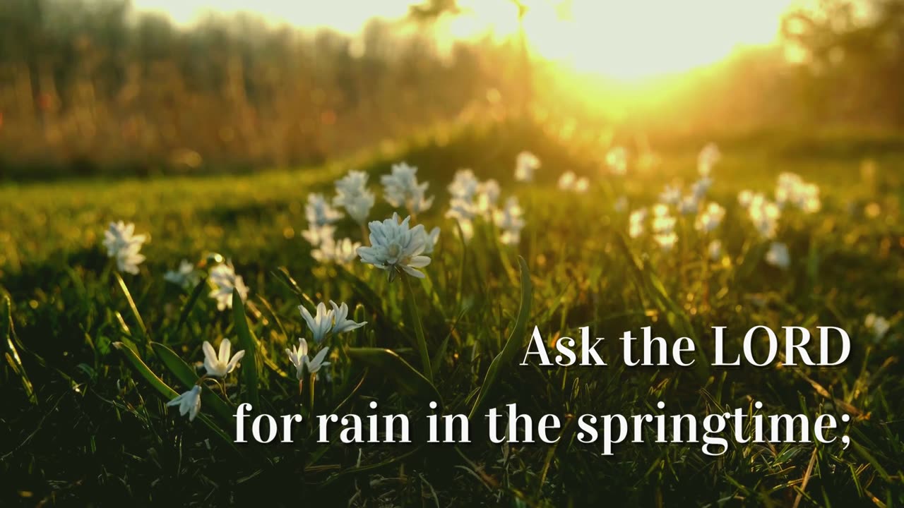 Seeking Rain