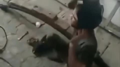 Video lucu yang viral di tiktok