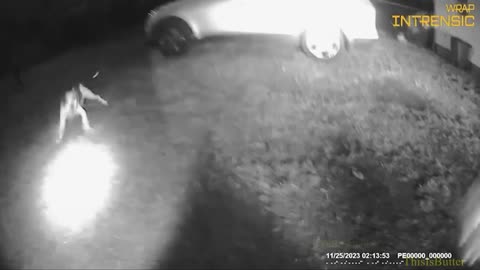 Partial bodycam footage of Henderson County deputy fatal foster dog shooting released