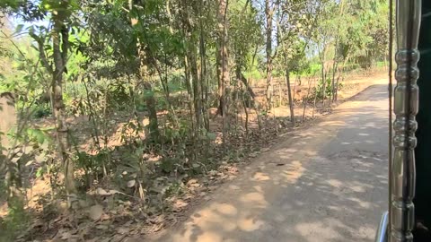 Darun funny video
