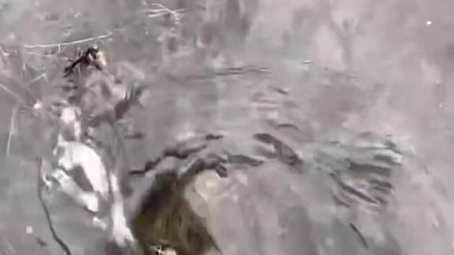 #uncloggingdrains #cleaningtiktok #relax #drains #satisfying #fyp(10)