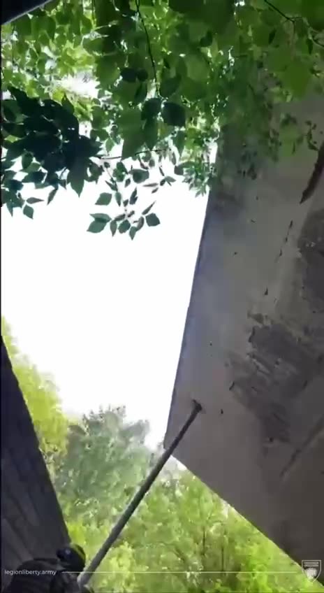 Legion Liberty Russia liberates Russia from putin's regime