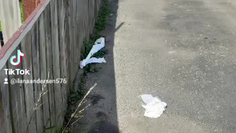 more on the crack heads