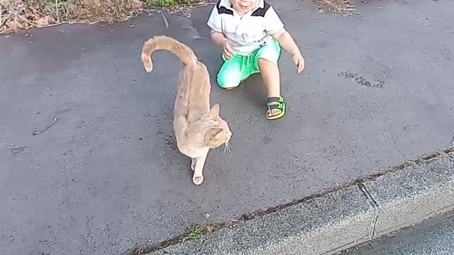 ❤My son loves cats👨🦱❤❤🐈