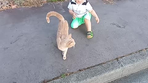 ❤My son loves cats👨‍🦱❤❤🐈