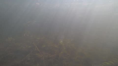 Underwater Adventure