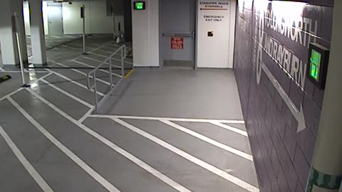 6136RHOBG3G3L8Lobby8Entrance_2021-01-05_05h00min00s537ms.mp4