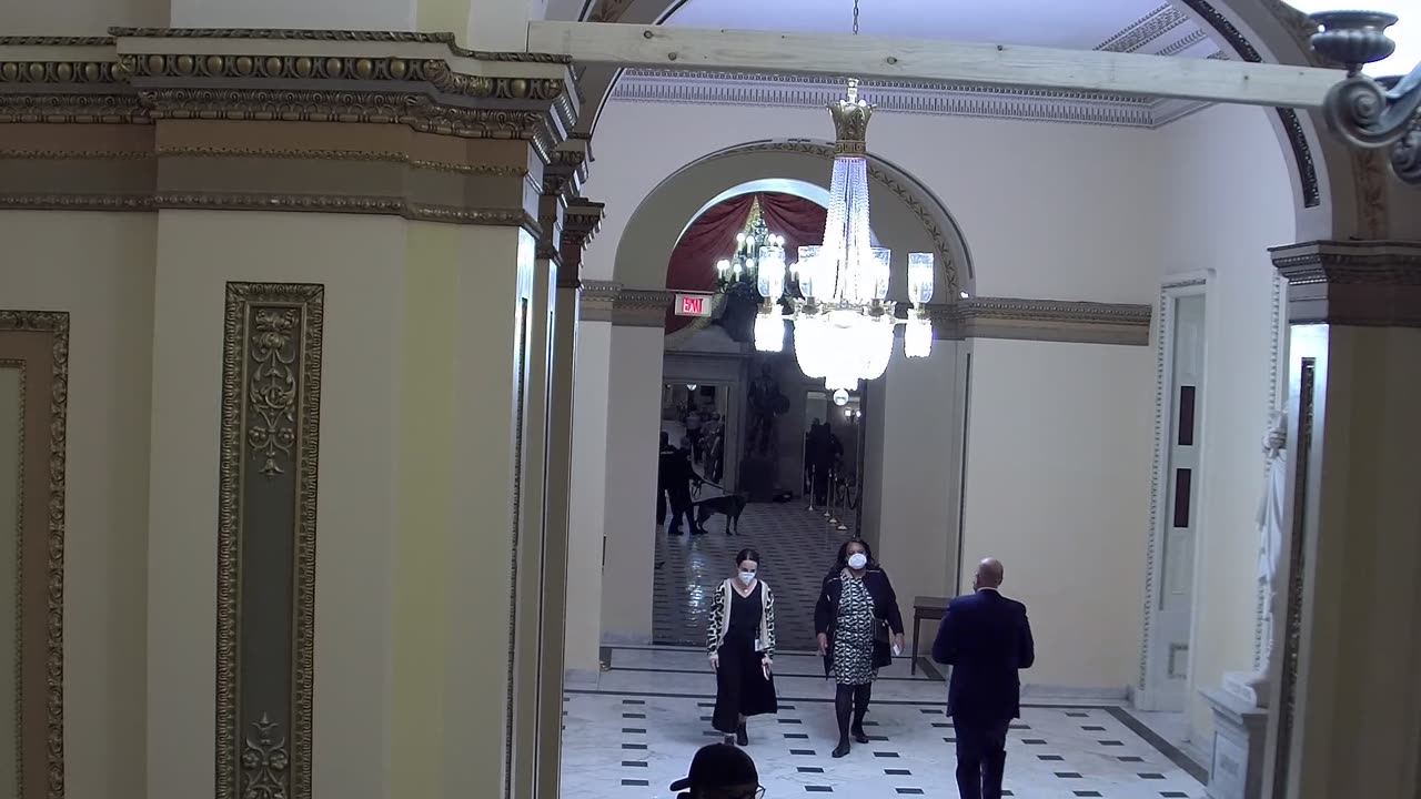 0259USCH02StatuaryHallConnector_2021-01-06_20h34min25s113ms.mp4