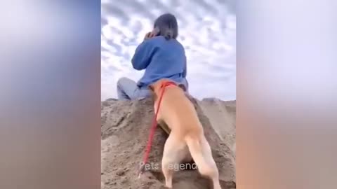 Funniest Animals 2023 😂