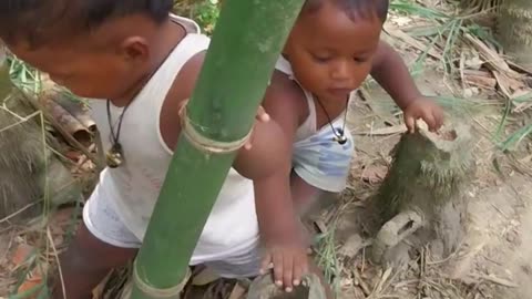 First Birthday Wishes For Twins Baby Boy | #shorts #short #shortvideo #cute #twins #viralvideo