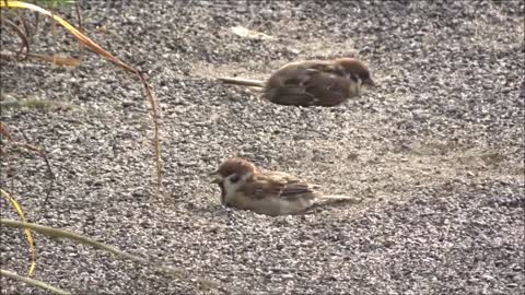 ウェザーリポート動画0829@大阪枚方