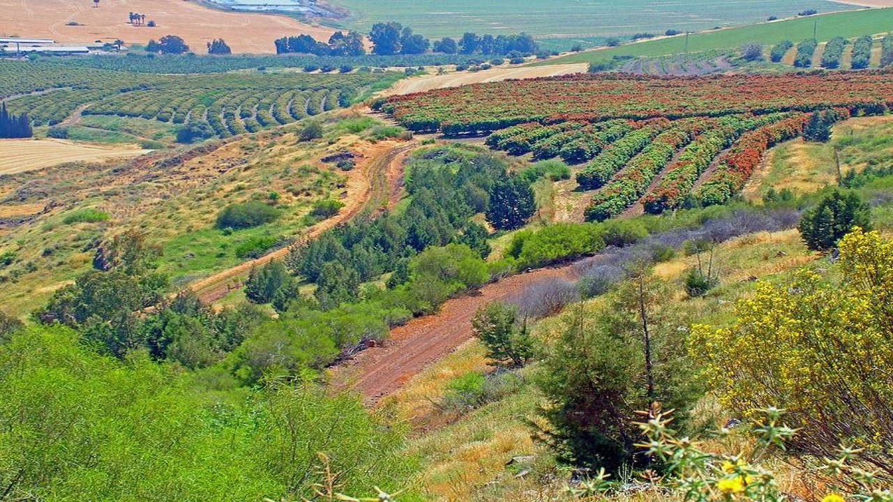 Israel most efficient milk producer in the world