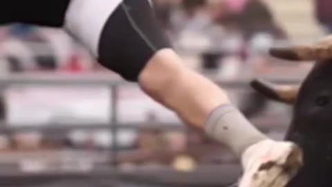 Poor bull almost broke his horn😁