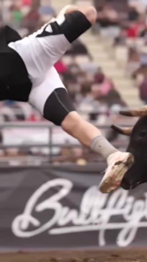 Poor bull almost broke his horn😁