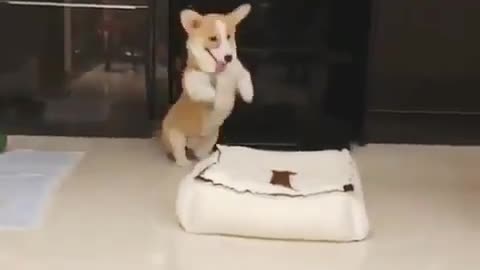 Play with pillows