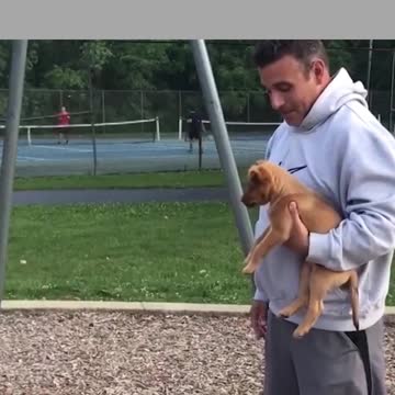 how good it is to have a dog at home