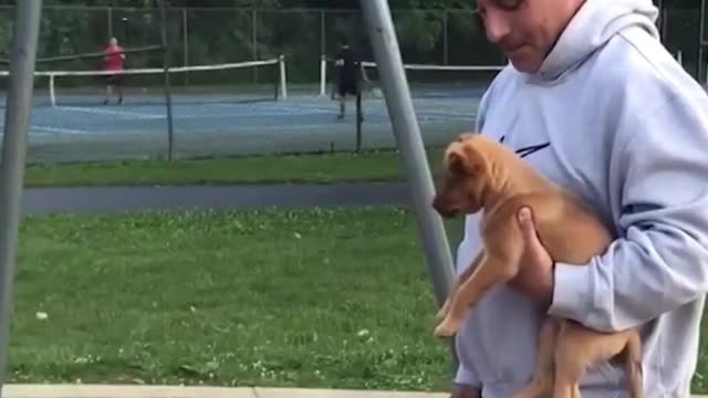 how good it is to have a dog at home