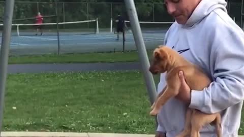 how good it is to have a dog at home