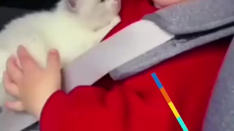 Funny video - animals and kids funny videos