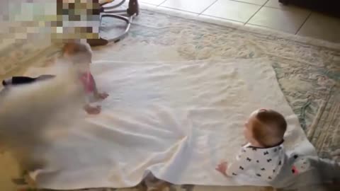 Funny Babies with Playful Dogs | impossible not to laugh