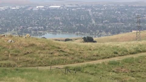 Fremont, CA — Vargas Plateau Regional Park