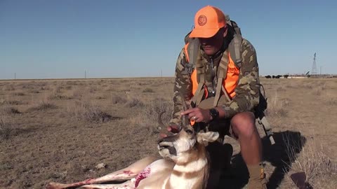 Traditional Muzzleloader Colorado Antelope Hunt