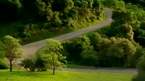The Missing Car