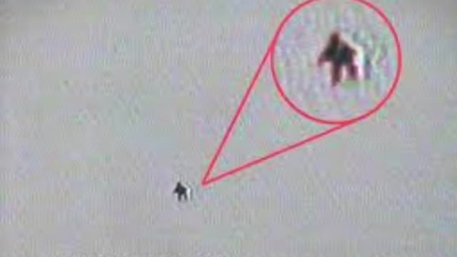 Flying Humanoid