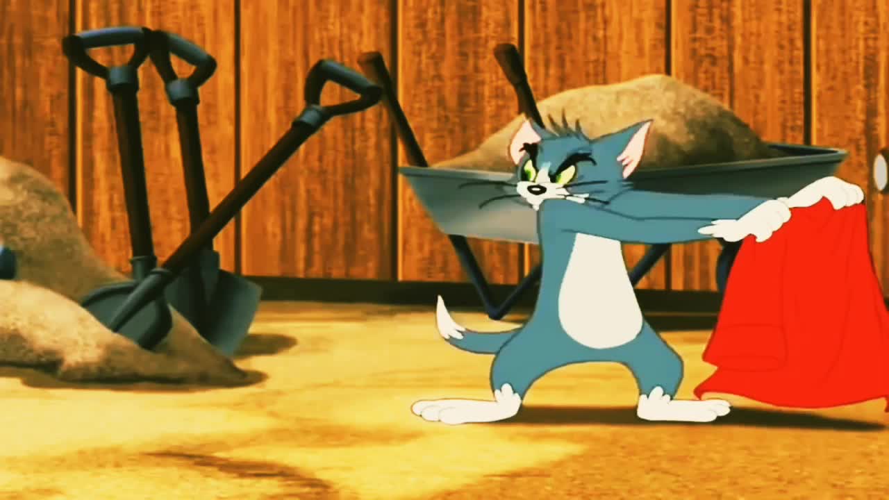 Funny Tom and Jerry cartoon videos, cartoon funny Video, kid's cartoon funny Video