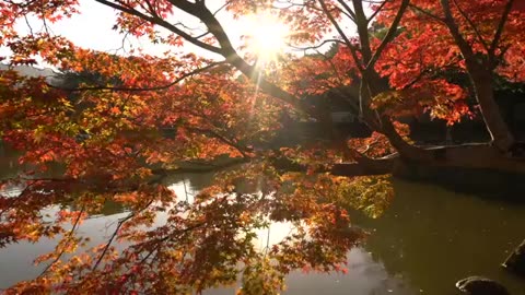 Autumn