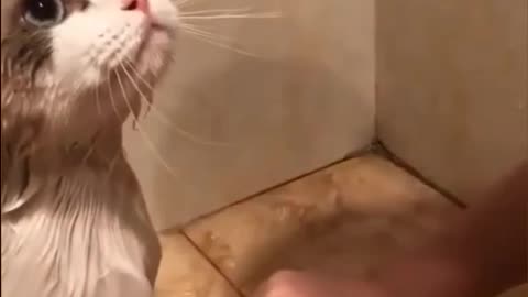 Bath time 🚿
