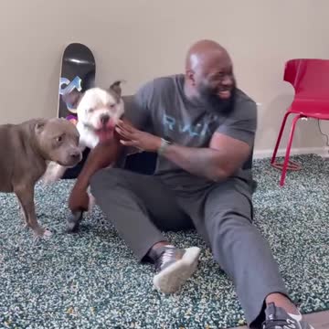 CHALLENGE YOUR DOG CALLING HIM WHILE HE IS BESIDE YOU.mp4