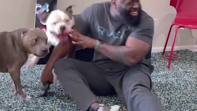 CHALLENGE YOUR DOG CALLING HIM WHILE HE IS BESIDE YOU.mp4