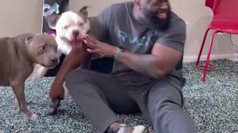 CHALLENGE YOUR DOG CALLING HIM WHILE HE IS BESIDE YOU.mp4