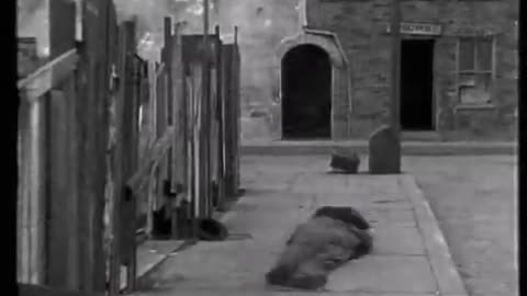 D Boyd - Charlie Chaplin Tribute