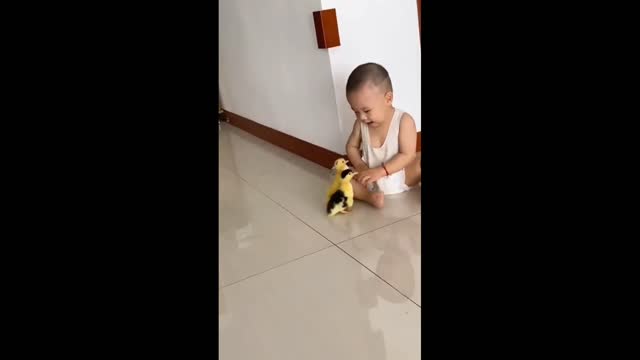 Baby with dogs