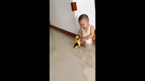 Baby with dogs