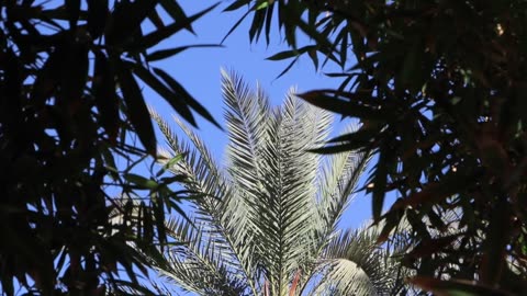 marrakech morocco