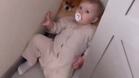 baby using dog as pillow