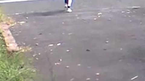 Pumpkin on the run