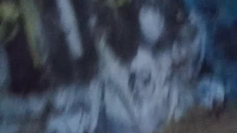 Não veja sozinho e muito assustador