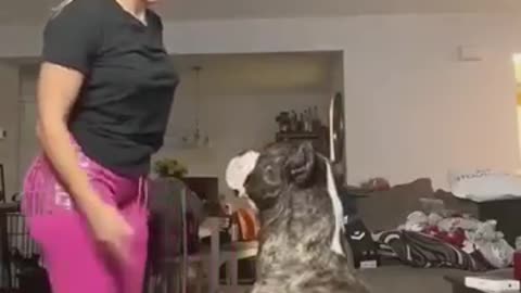 sexy dog