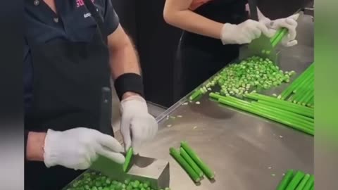 Satisfying Videos of Workers Doing Their Job Perfectly ▶11